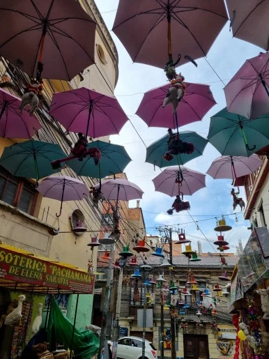 20240213_165316.jpg?type=w386