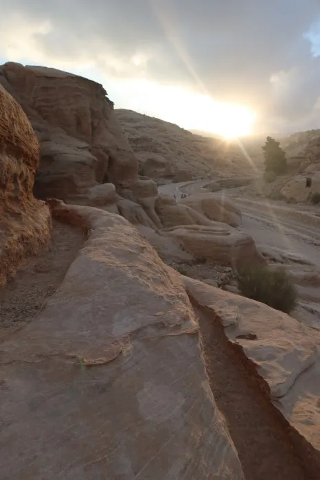 IMG_4086.JPG?type=w466