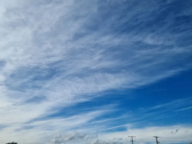 20231029_143445.jpg?type=w773