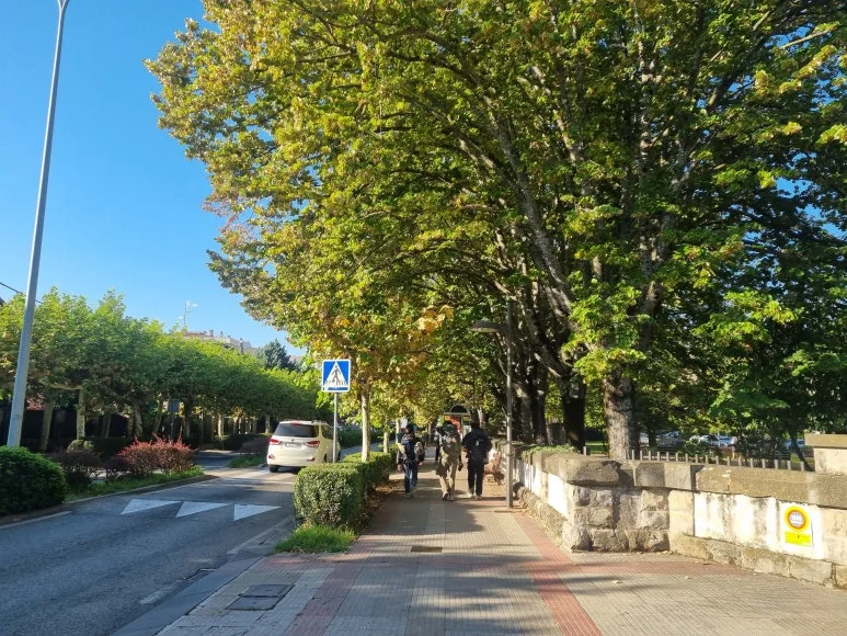 20231012_102657.jpg?type=w773