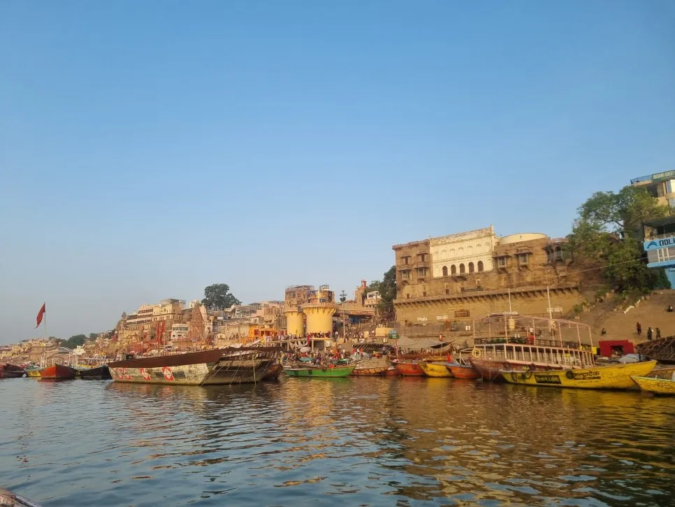 20230602_054930.jpg?type=w966