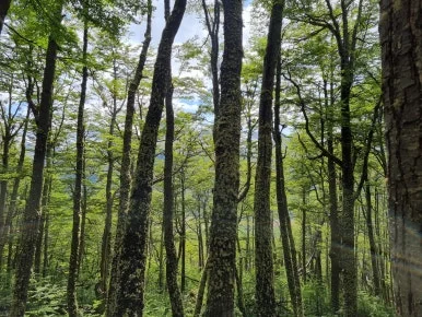 20240120_132400.jpg?type=w386