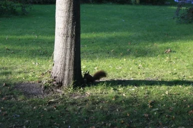 _MG_8490.JPG?type=w386