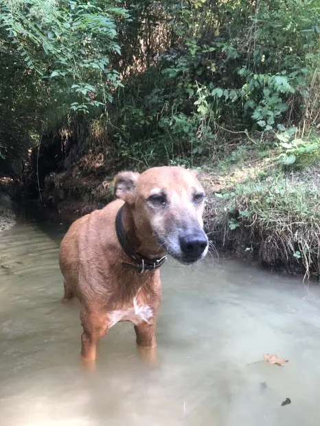 IMG_7650.jpg?type=w466