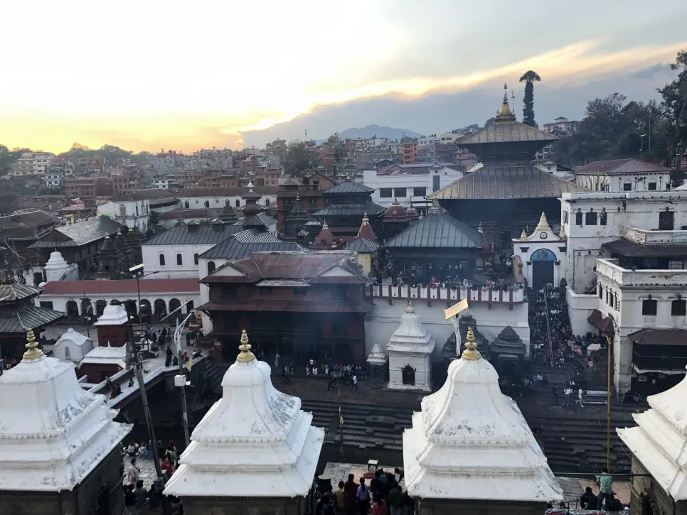 IMG_5509.jpg?type=w966