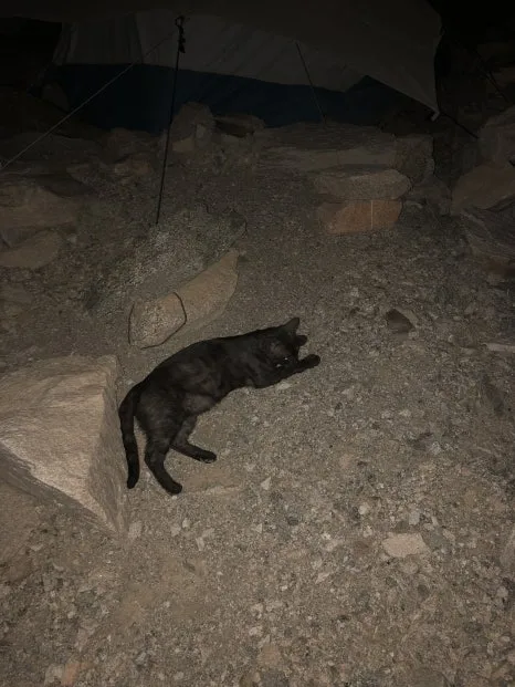 IMG_8074.jpg?type=w466