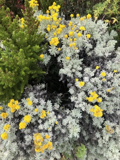 IMG_8797.jpg?type=w386