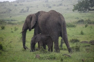 5d8cc66f-b431-4536-93d3-b516fddace64.JPG?type=w386