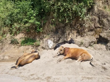 20230528_091908.jpg?type=w466