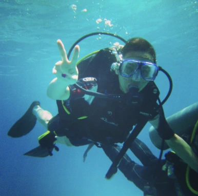 Screenshot_2025-01-15_at_11.20.46%E2%80%AFPM.png?type=w386