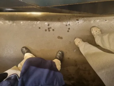 SE-b7539404-e138-466c-8618-45413b4cc867.jpg?type=w386