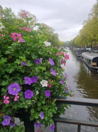 20230929_115113.jpg?type=w386