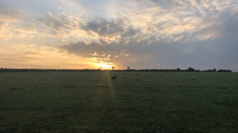 IMG_7383.JPG?type=w773