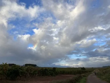 1697748112222.jpg?type=w386