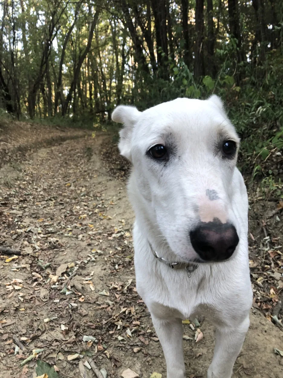 IMG_6992.jpg?type=w1