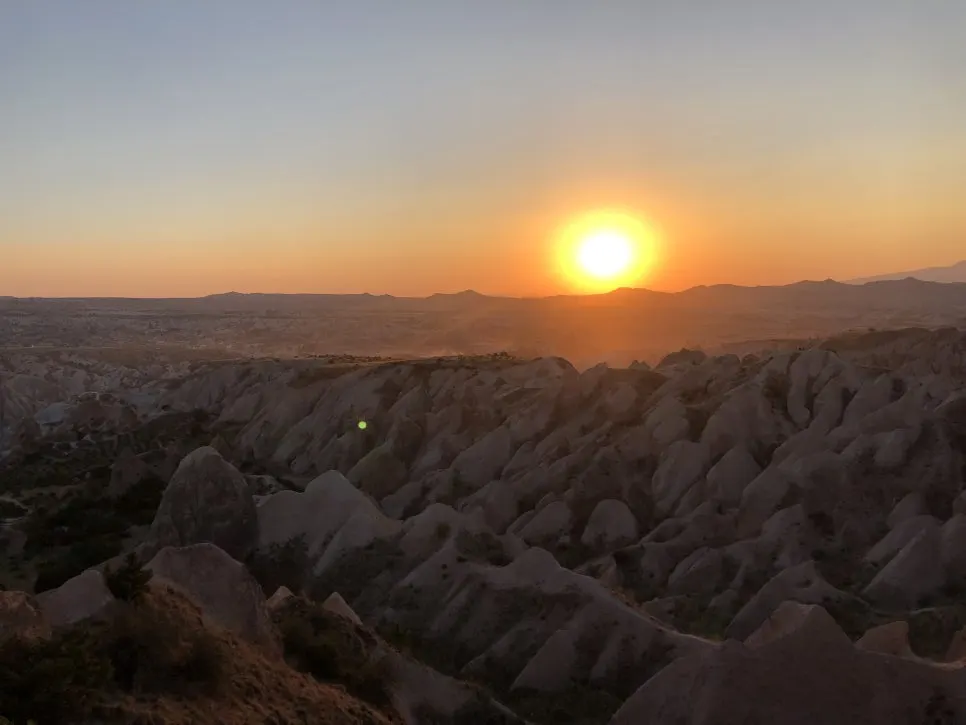 IMG_2053.jpg?type=w966