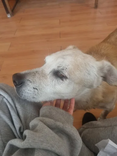 20240207_143143.jpg?type=w386