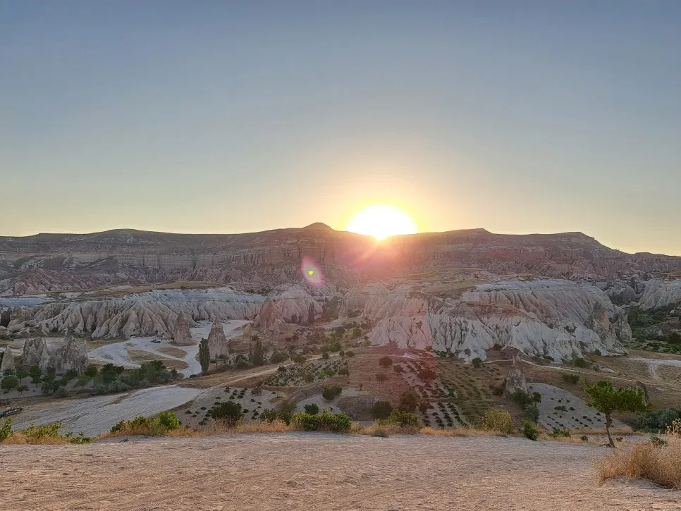 20230802_062624.jpg?type=w966