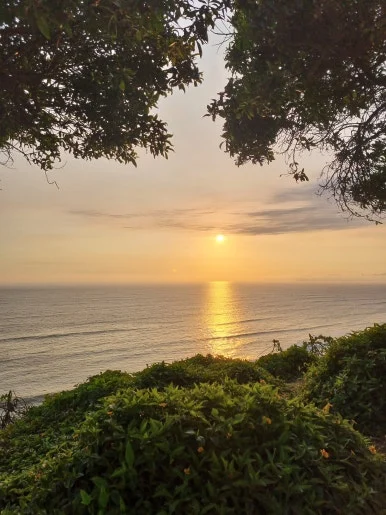 20240223_180454.jpg?type=w386