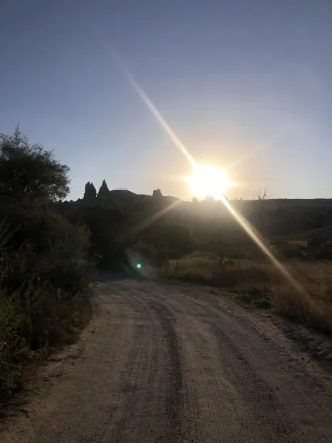 IMG_1626.jpg?type=w466