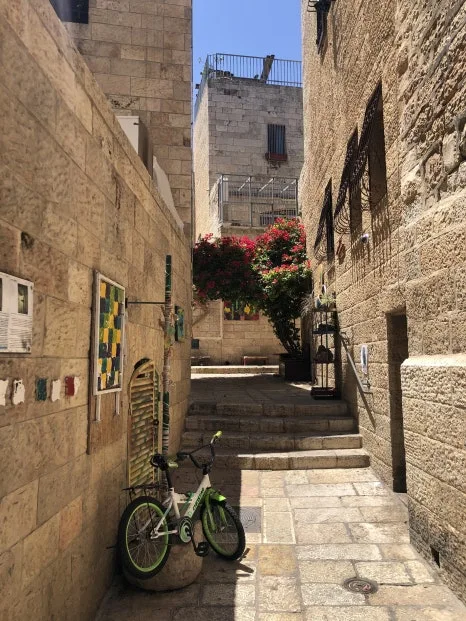 IMG_7380.jpg?type=w466