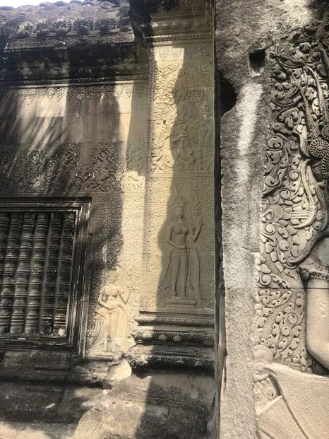 IMG_5285.jpg?type=w466