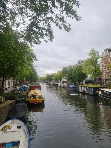 20230929_115054.jpg?type=w386