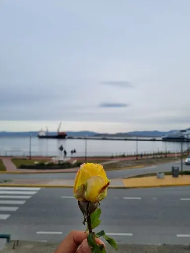 20240121_202227.jpg?type=w386