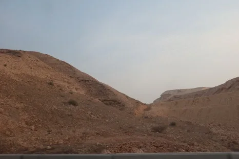 IMG_3927.JPG?type=w466