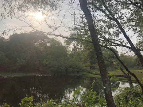 IMG_5232.jpg?type=w466