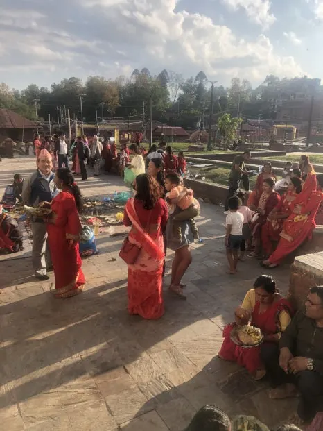 IMG_5485.jpg?type=w466