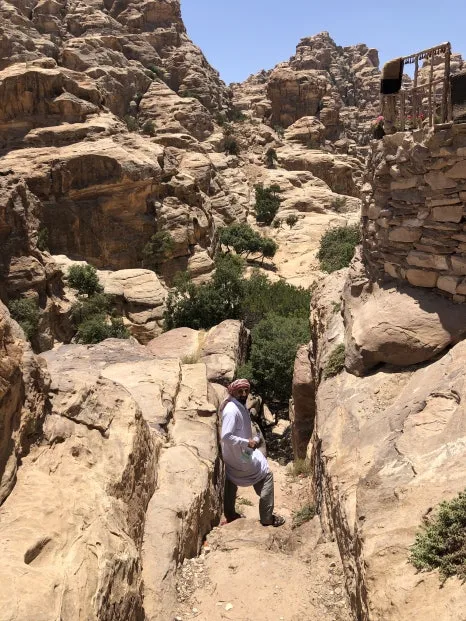 IMG_8743.jpg?type=w466