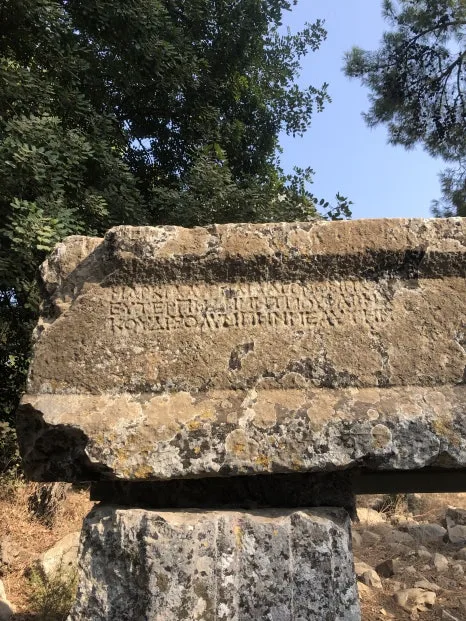 IMG_3026.jpg?type=w466