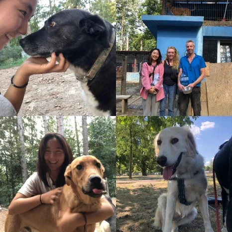 IMG_20231009_140241_463.jpg?type=w466