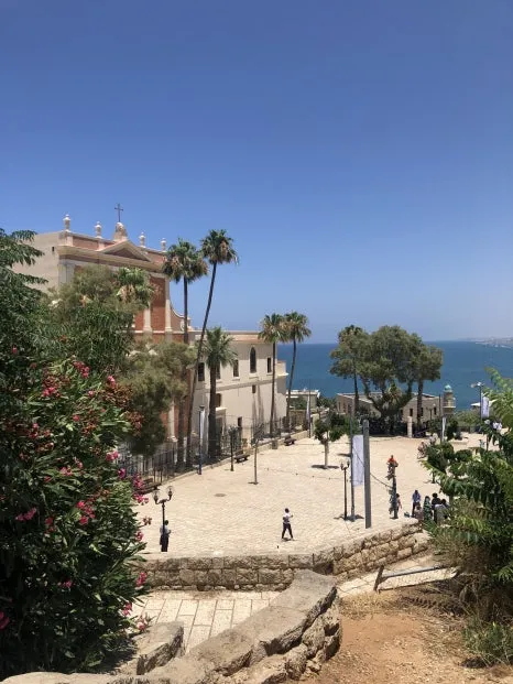 IMG_7107.jpg?type=w466