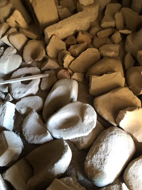 IMG_8586.jpg?type=w466