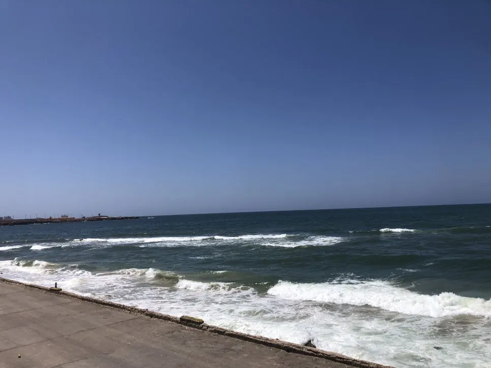 IMG_0846.jpg?type=w966