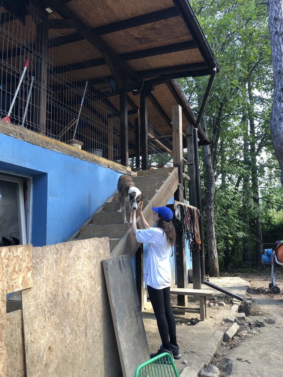 IMG_7941.jpg?type=w966