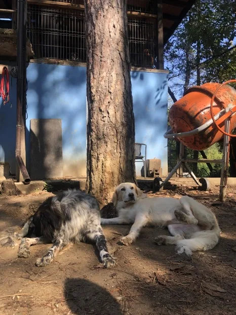 IMG_7447.jpg?type=w466