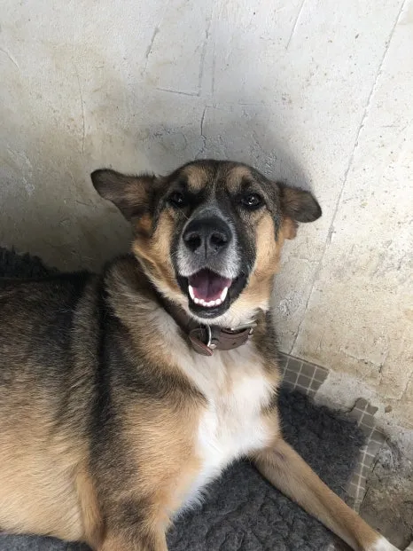 IMG_7089.jpg?type=w466