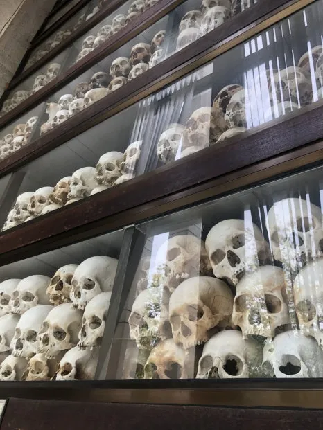 IMG_5230.jpg?type=w466