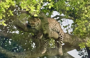 IMG_6745.jpg?type=w386