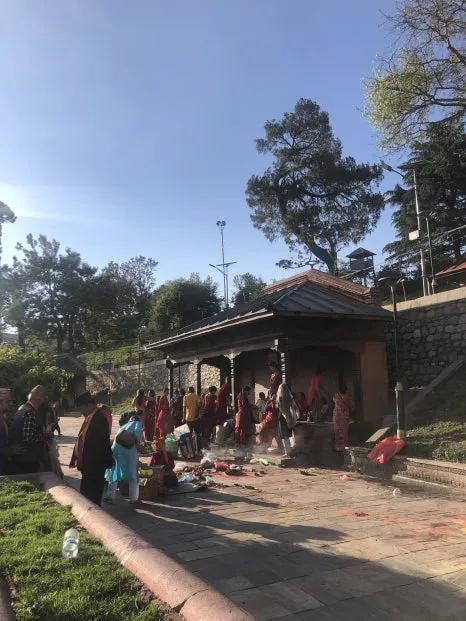 IMG_5483.jpg?type=w466