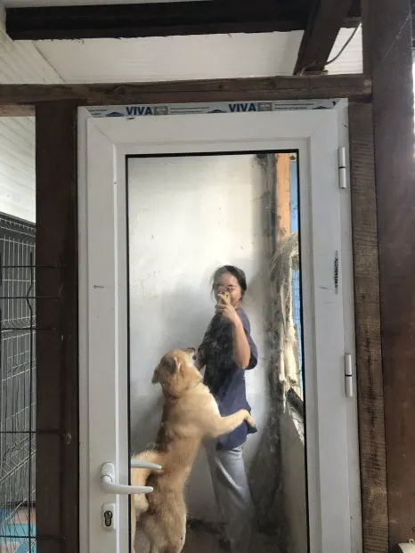 IMG_6728.jpg?type=w466