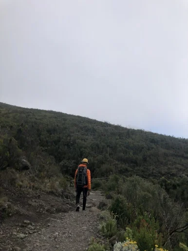 IMG_8795.jpg?type=w386