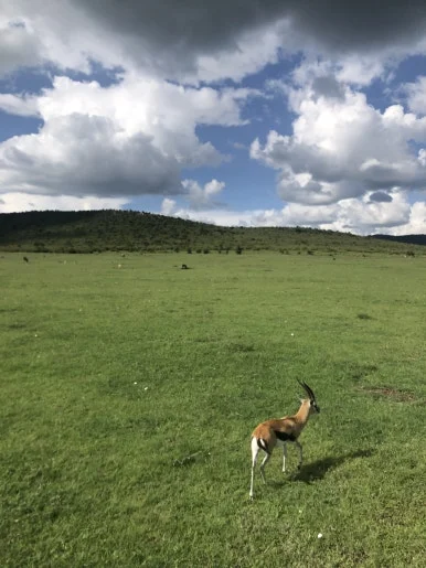 IMG_7123.jpg?type=w386