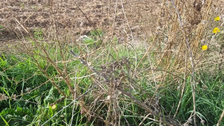 SE-5f664917-f30c-4500-8b5e-9c40e2a6084e.jpg?type=w773