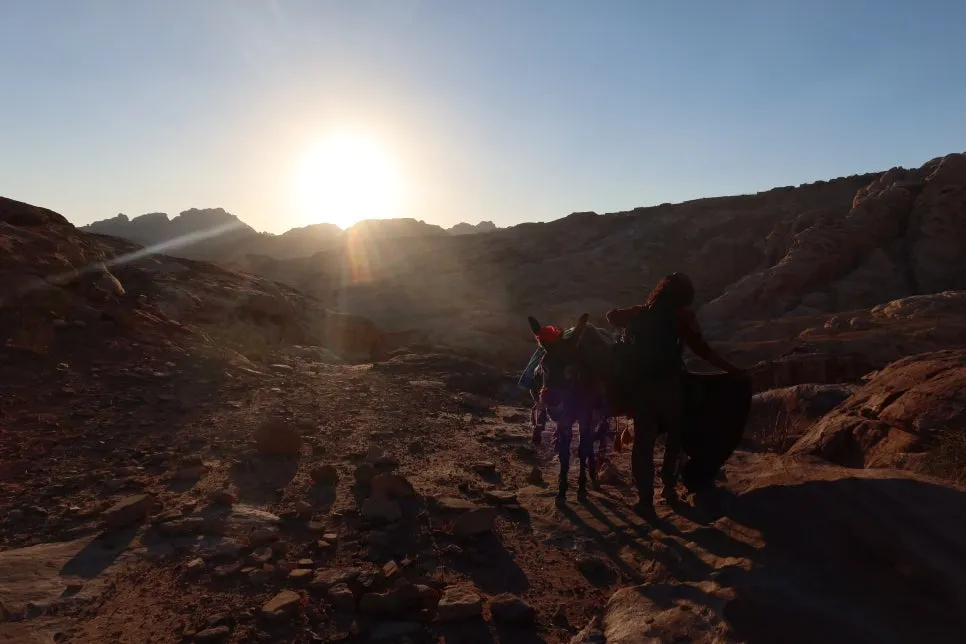 IMG_4236.JPG?type=w966