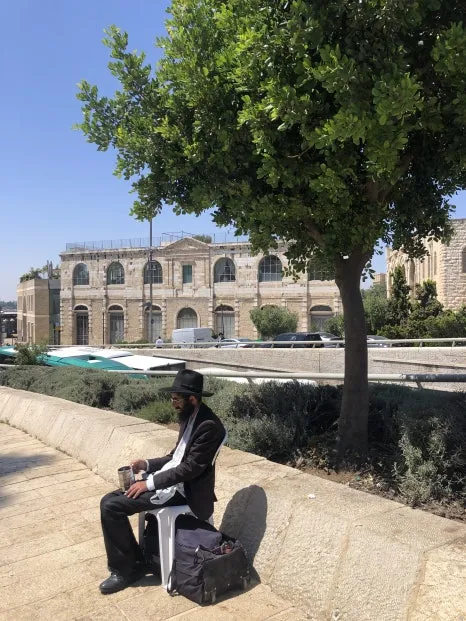 IMG_7372.jpg?type=w466