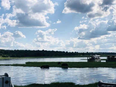 IMG_2111.jpg?type=w386